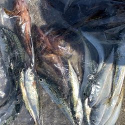 メバリングのはずが・・・