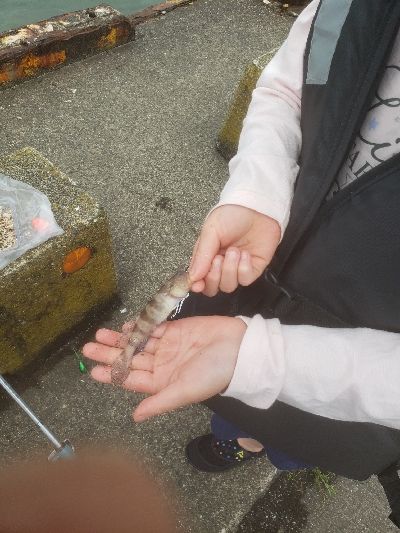 久しぶりの投稿です。