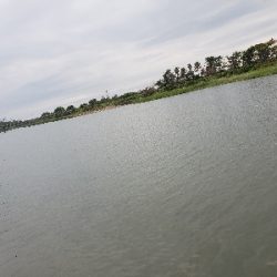 反応の薄い日の一匹✨