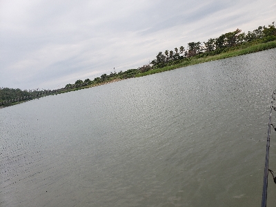 反応の薄い日の一匹✨