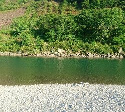 今年初ウグイング