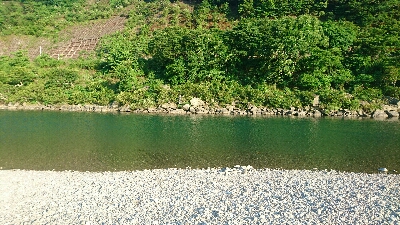 今年初ウグイング