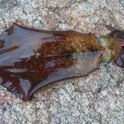 仕事帰りにちょこっと