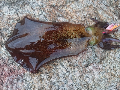 仕事帰りにちょこっと