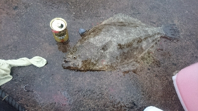 久しぶりの良い釣果