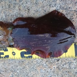 仕事終わりエギング