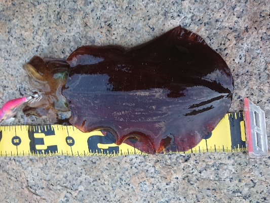 仕事終わりエギング