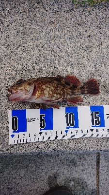 南港ガシリング