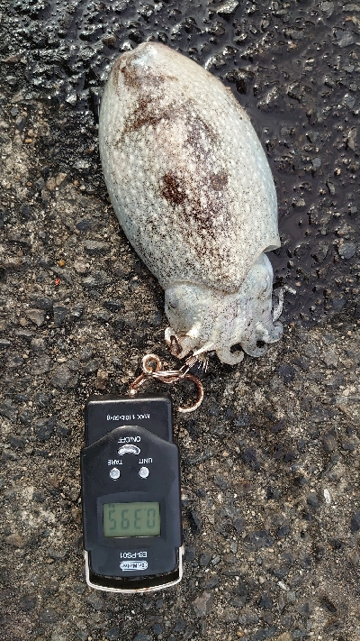 渋い中、なんとか2杯