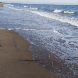 久しぶりの釣り