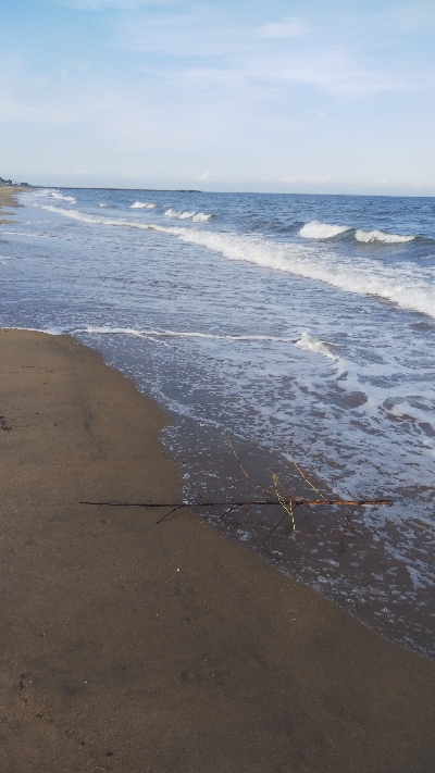 久しぶりの釣り