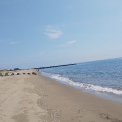 ライトショアジギング