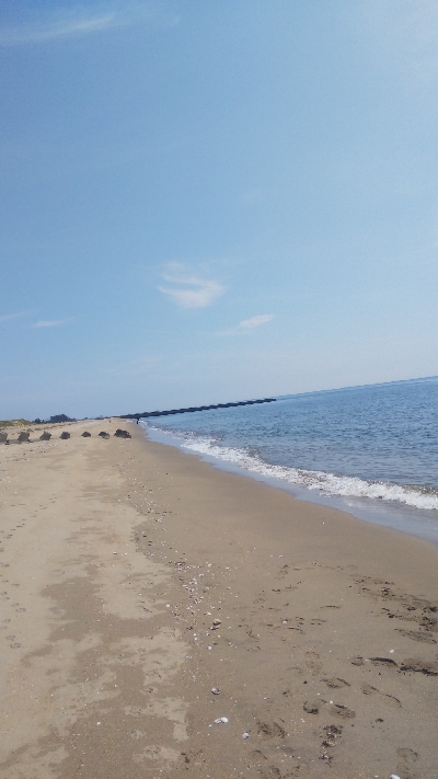 ライトショアジギング