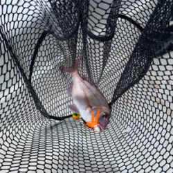 オフショアキャスティングゲーム