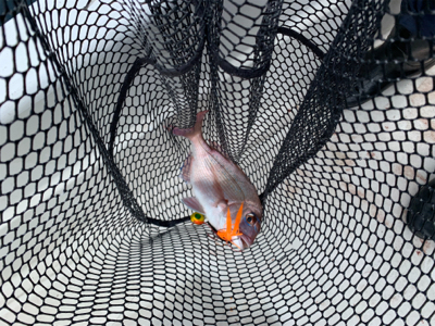 オフショアキャスティングゲーム