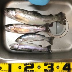 久しぶりの管理釣り場