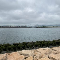 ヒラメ狙いでしたが