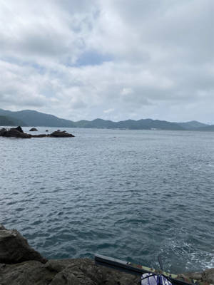 磯ガッシーはでかかった