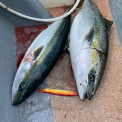 経ヶ岬沖にてジギング