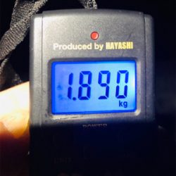 期待を込めて出撃