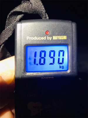 期待を込めて出撃