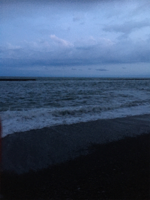 ニベが釣れました。