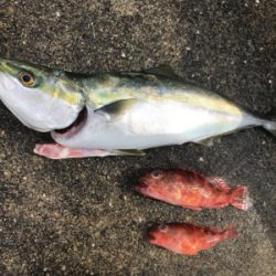 キャスティング