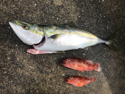 キャスティング