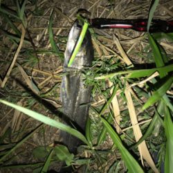 緊急事態宣言が解除したので