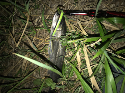 緊急事態宣言が解除したので