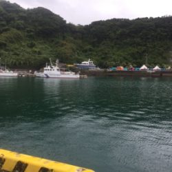 油津港で初めてのチヌ釣り