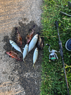 早朝ワインドゲーム