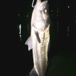 なかなかヒットせず苦戦