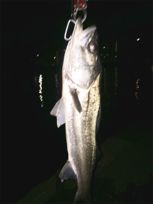 なかなかヒットせず苦戦