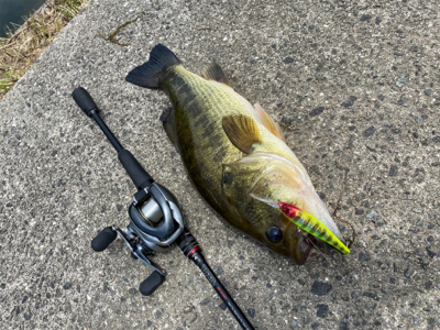 午前バスフィッシング