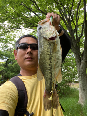 ポッパーゲーム