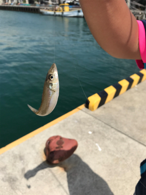 ライトタックルでキス釣り