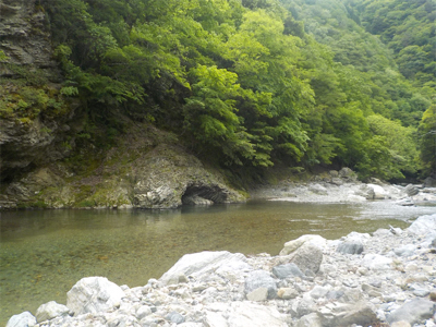 カワムツ釣り？いやいやアマゴ狙い苦笑
