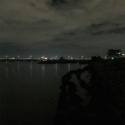 淀川ブリームゲーム