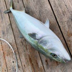 ポート田尻にて