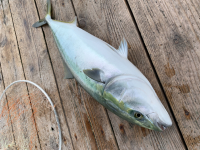 ポート田尻にて