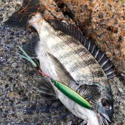 ライトショアチニング!?