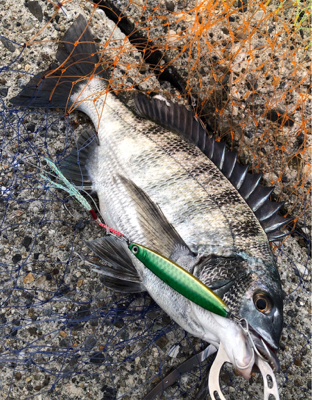 ライトショアチニング!?