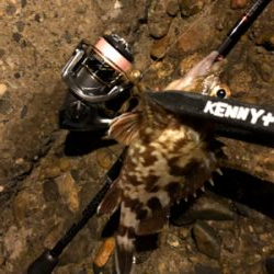 久しぶりの釣行です。