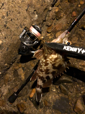 久しぶりの釣行です。