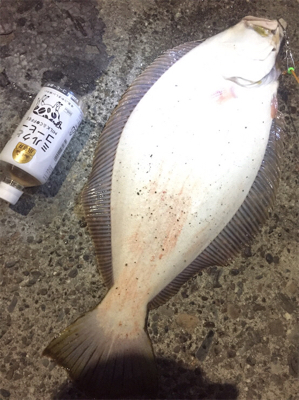 75センチヒラメ