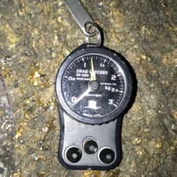 アオリイカ 1.2k