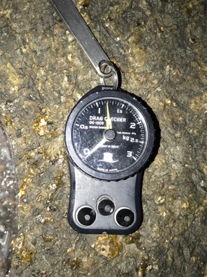 アオリイカ 1.2k