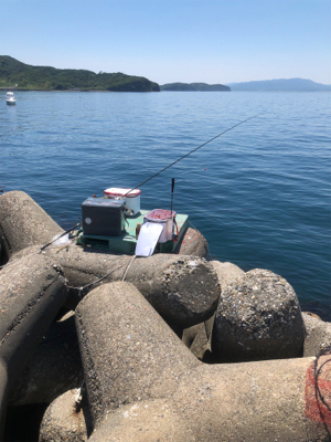 フカセでグレ釣り