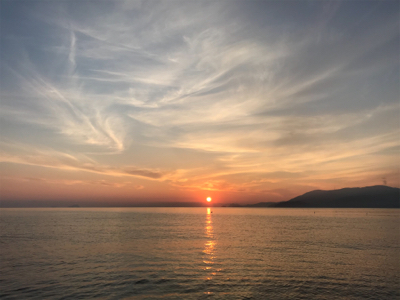 アオリイカ　８００g